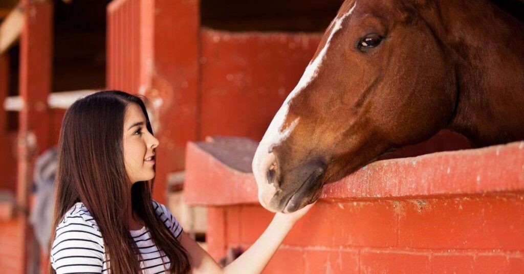 Would Your Horse Make a Good Therapy Horse
