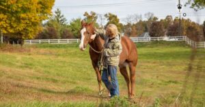 Would Your Horse Make a Good Therapy Horse?