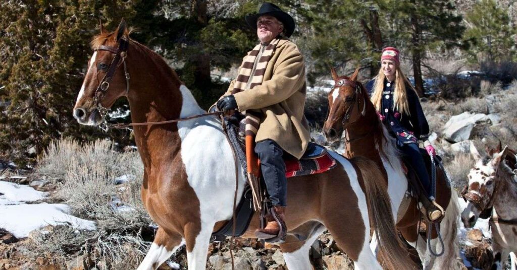 American Saddlebred: Best Horse Breed