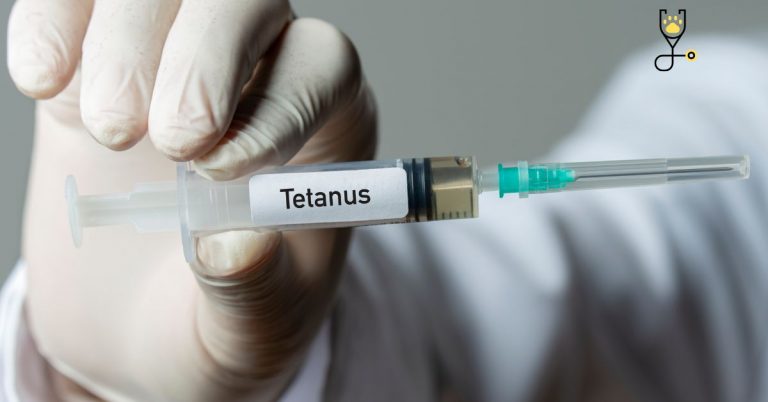 Tetanus in Horses-Symptoms, Causes & Treatment - The Horse Advisor