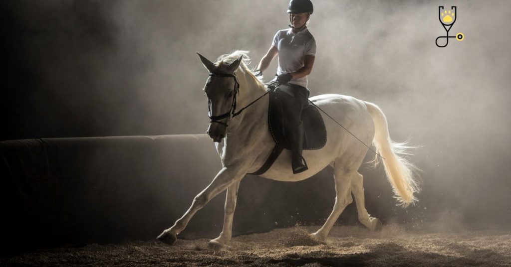 10-Tips To Prevent a Horse from Spooking