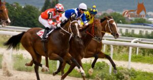 Best Horse Breeds for Racing: A Comprehensive Guide
