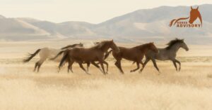How Far and Long Can Horses Run?