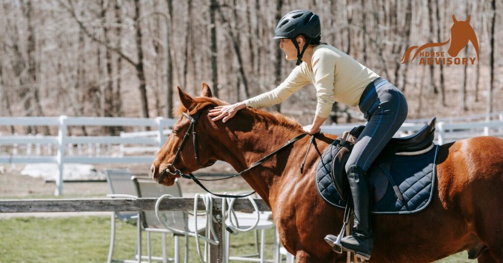 Training Arabian Horses for Endurance Riding